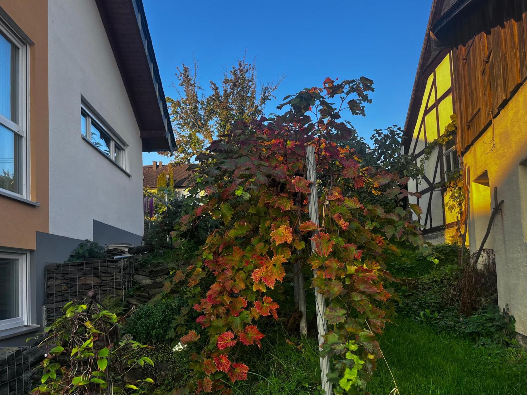 Kleine Auszeit - Ferienwohnung Heideberg - "Rhein" In Den Urlaub Bacharach Exterior foto